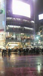d0141903_125365.gif
