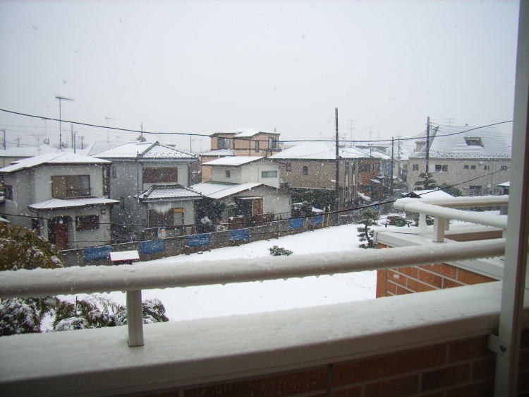 a0058605_10321035.jpg
