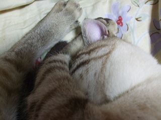 c0103205_2121811.jpg
