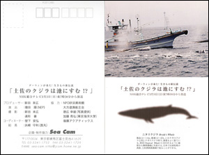 f0048405_9165431.jpg