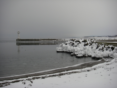 d0051707_2014535.jpg