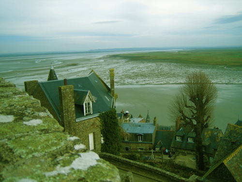 d0135907_32114.jpg