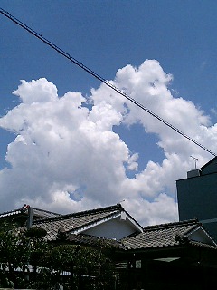 e0101411_034490.jpg