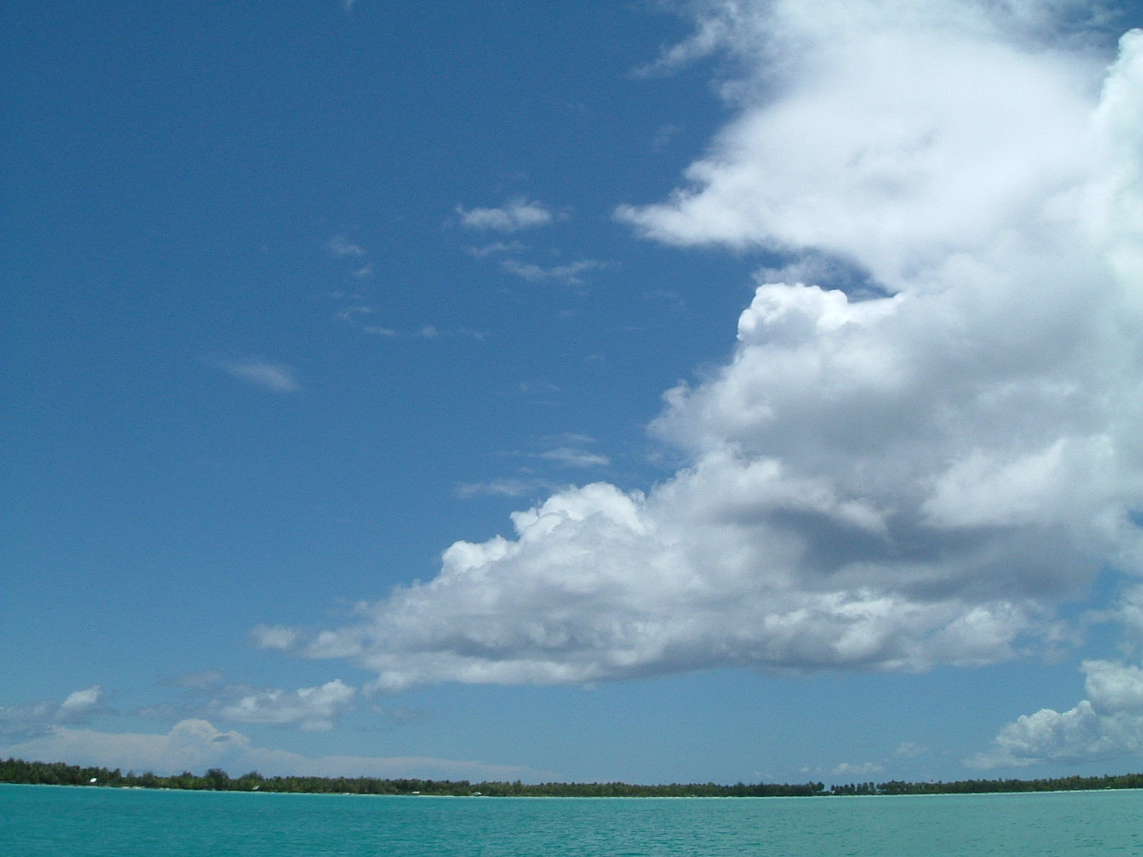 d0111714_22131733.jpg