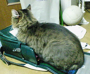 c0145016_2151472.jpg