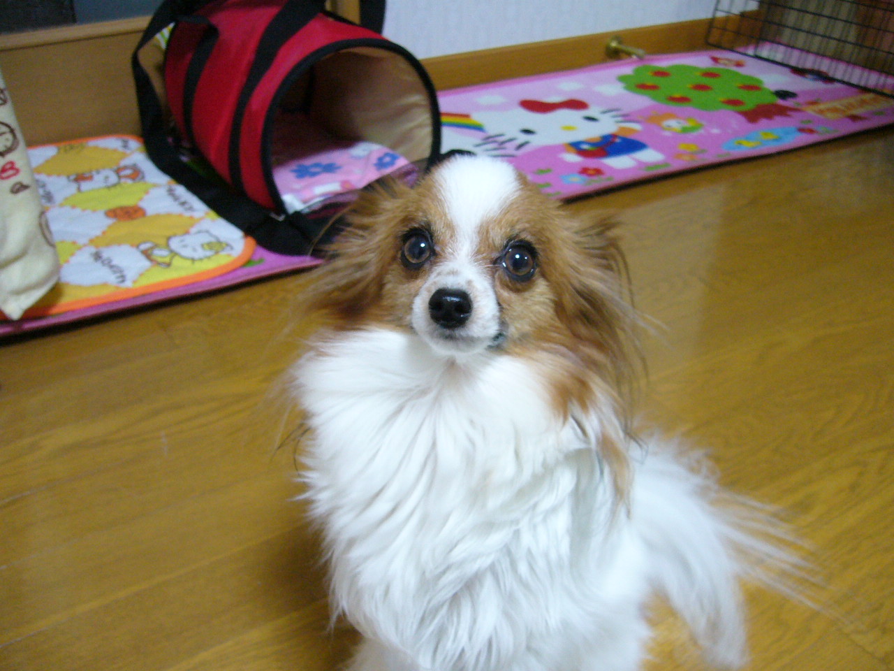 f0135021_133814.jpg
