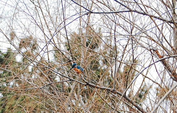 c0089123_1654970.jpg