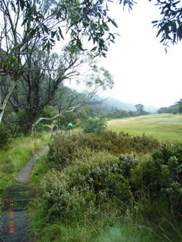 c0013324_21195480.jpg