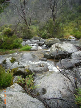 c0013324_21234488.jpg