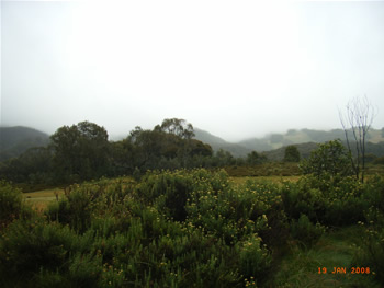 c0013324_21252054.jpg