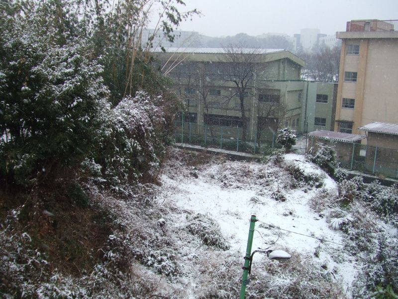 a0105425_0141414.jpg