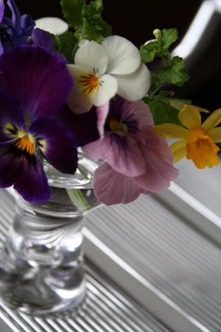 a0078126_1481268.jpg