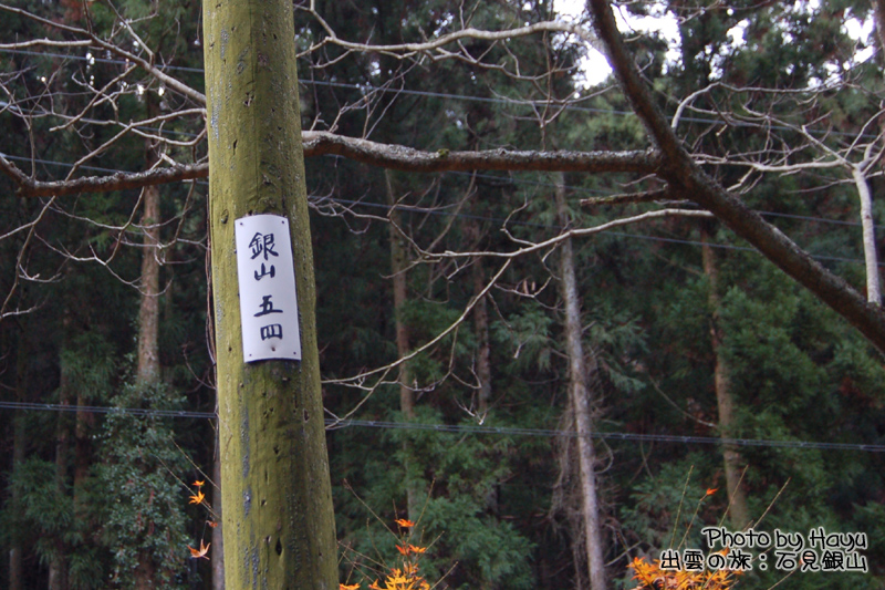 a0059328_20104282.jpg