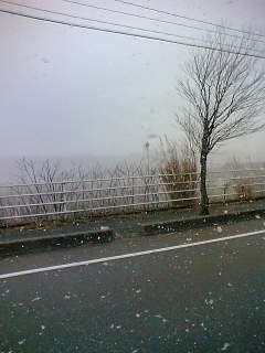 f0040734_1621447.jpg