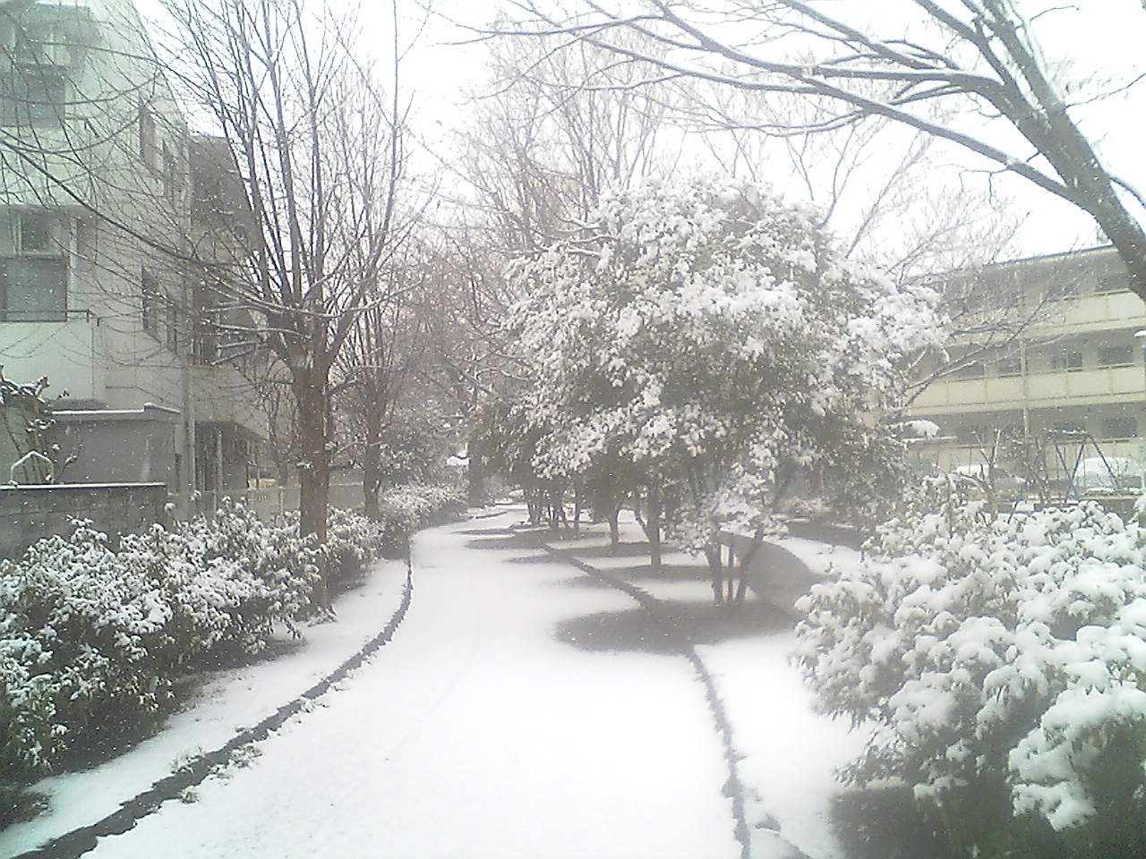c0152037_41555.jpg