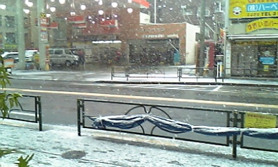 a0103539_140250.jpg