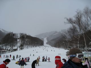 f0065341_1451284.jpg