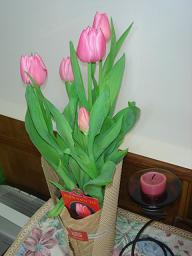 c0016642_162291.jpg
