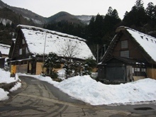 f0000644_21264673.jpg