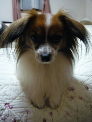 e0100046_2142884.jpg