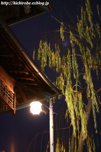 f0039446_8491389.jpg