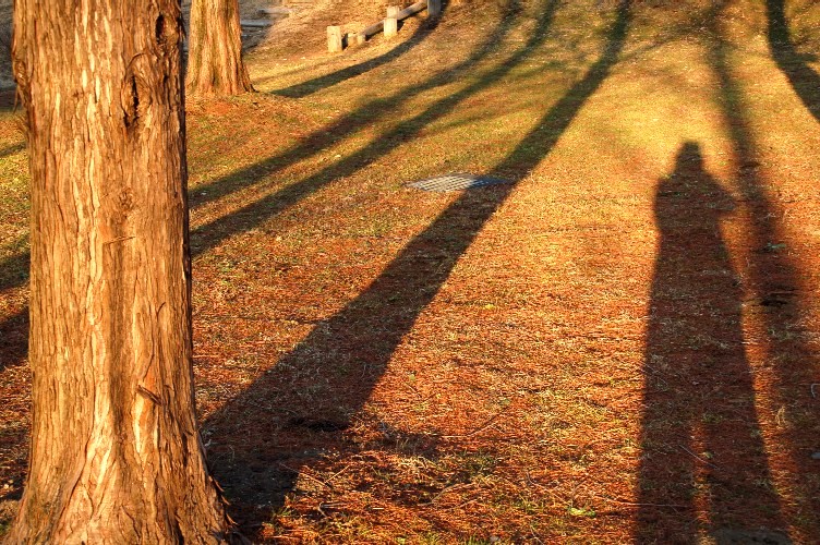e0009147_15465427.jpg