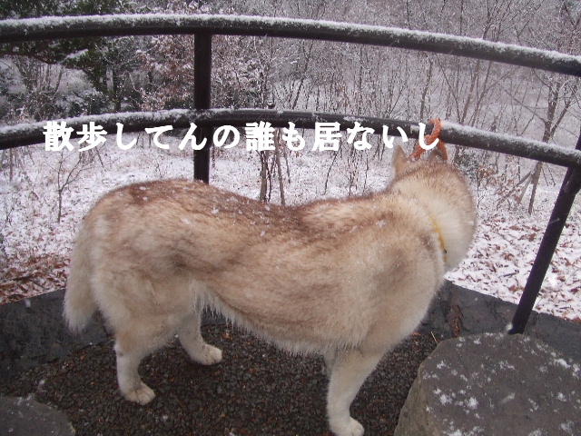 e0121548_20492312.jpg