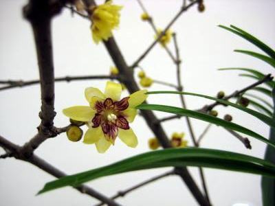c0147952_22464170.jpg