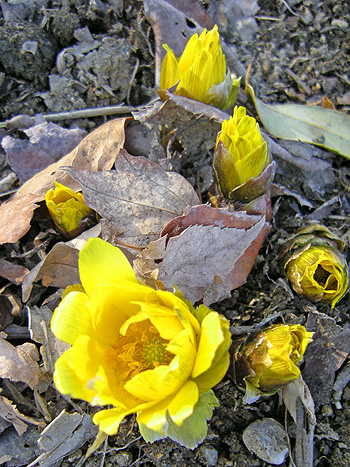 a0001354_19253613.jpg
