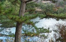 e0120156_15253147.jpg