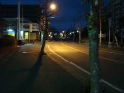 b0061261_1003312.jpg