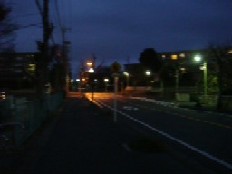 b0061261_1004121.jpg