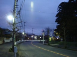 b0061261_21154377.jpg