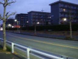 b0061261_21161358.jpg