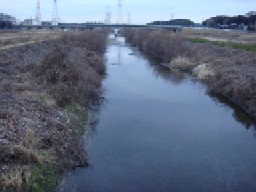 b0061261_21384673.jpg