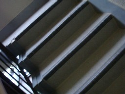 b0061261_215478.jpg