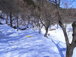 f0083262_23101577.jpg