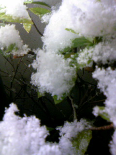 f0061067_2253533.jpg
