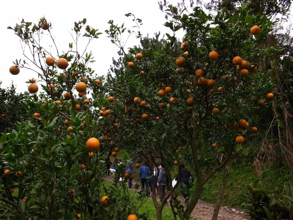 c0132571_2031478.jpg