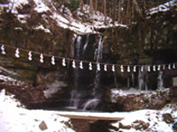 b0113282_1150922.jpg