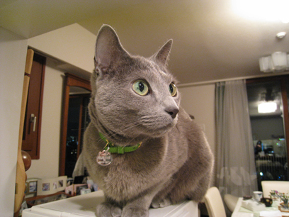 b0034284_3151366.jpg