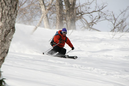 f0087787_9512219.jpg