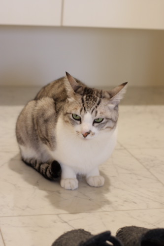 ちろっ