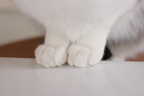 ぎゅーっ