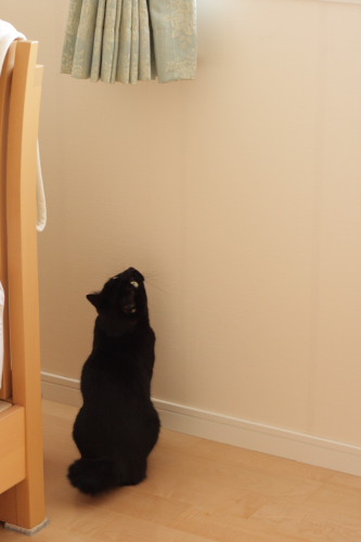 しっかり狙うの