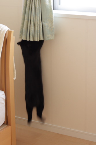ぴょん!