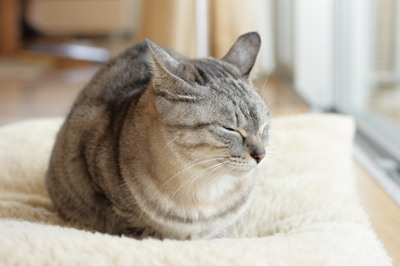 ダメダメね