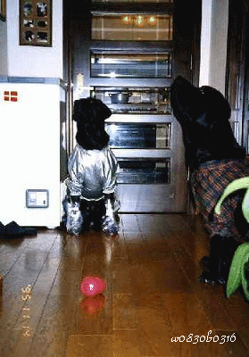c0149893_0235264.gif