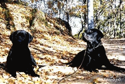 c0149893_0323988.gif