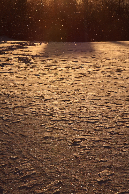 c0032494_6541925.jpg